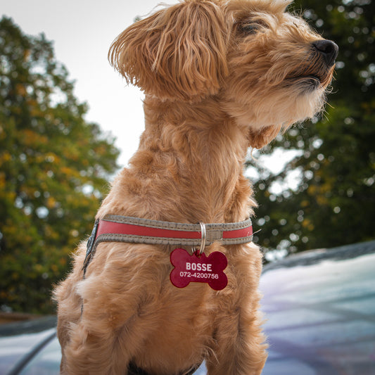 Personlig hundbricka med namn och nummer – perfekt present till hundägare eller valpägare
